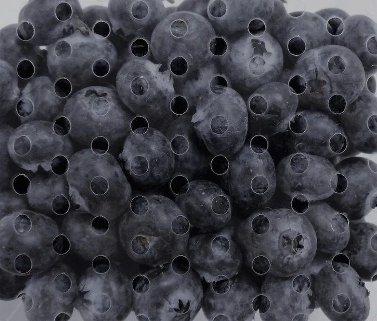 Blueberries behind laser-perforated lidding film
