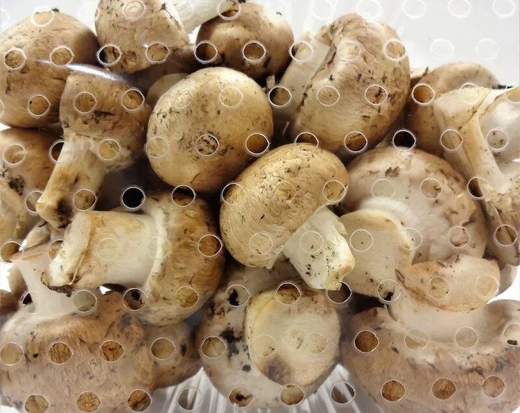 Mushrooms packed behind laser micro-perforated film