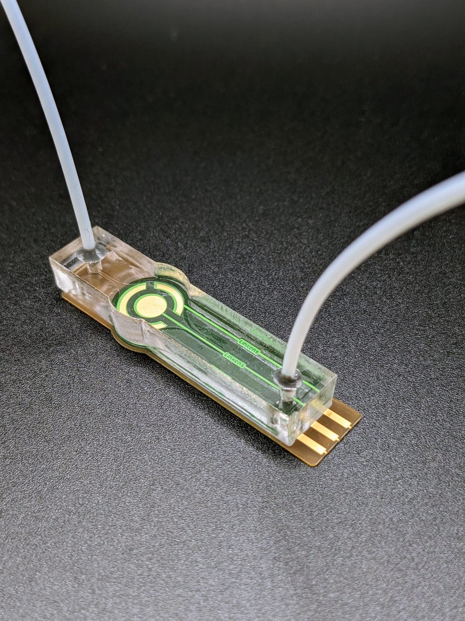 Microfluidic chip with fluid in the channels and tubing connected