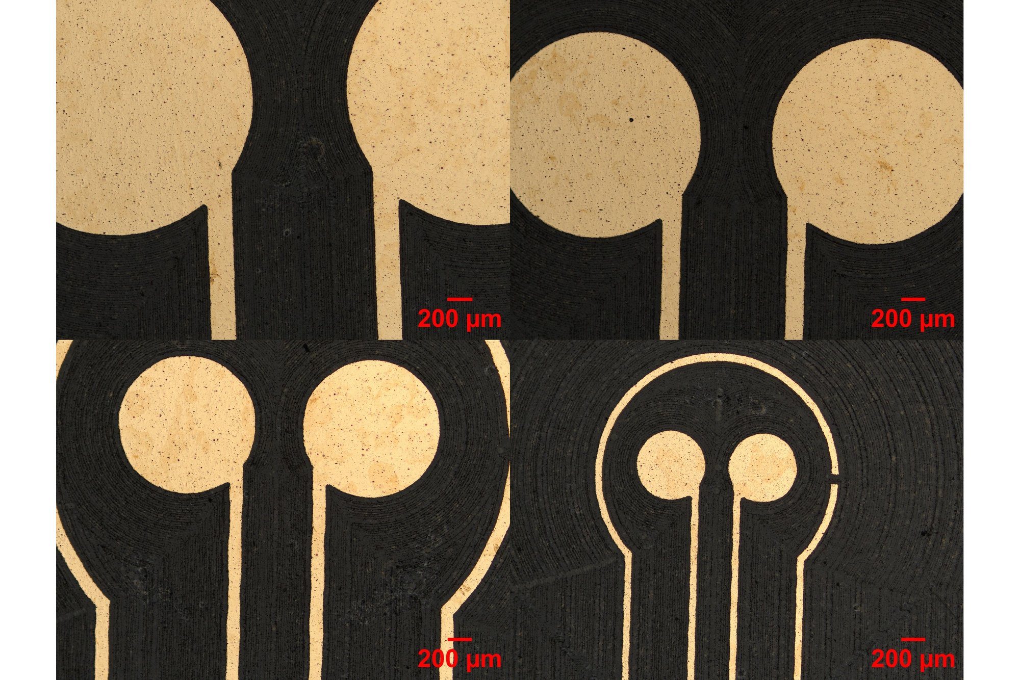Micrographs of laser-ablated dual working electrodes in gold on film, 200 µm scale bars