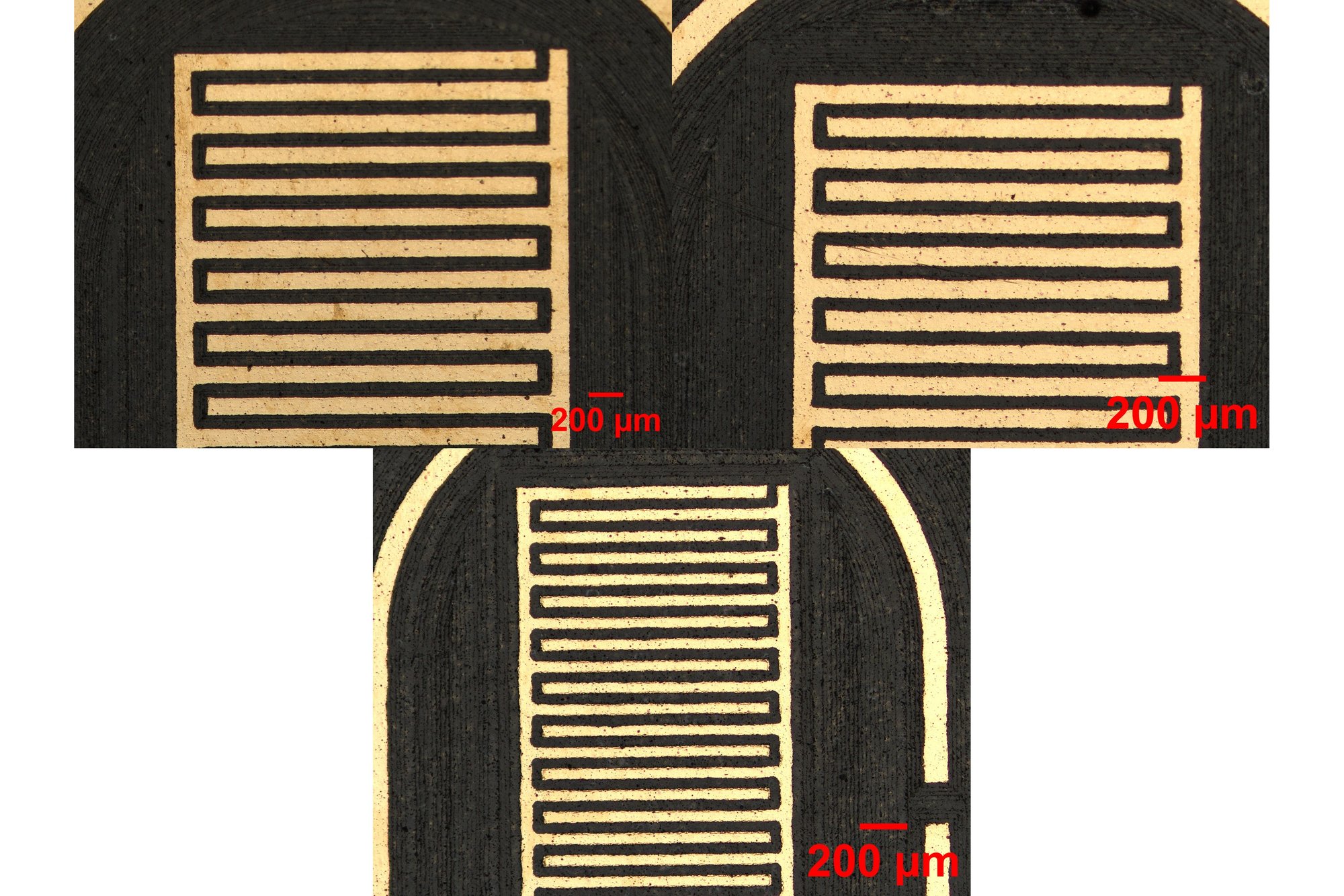 Micrographs of laser-ablated interdigitated gold electrodes with 200 µm scale bars
